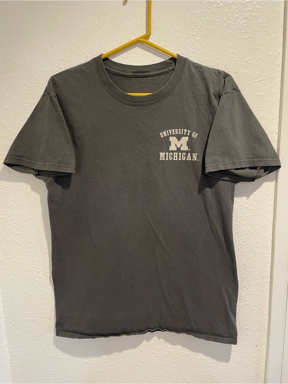 University of Michigan Campfire Graphic Tee 🌲 Men's S / Unisex